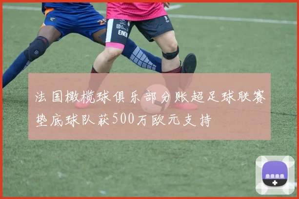 法国橄榄球俱乐部分账超足球联赛垫底球队获500万欧元支持